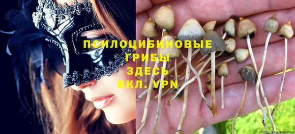 МДПВ Белокуриха