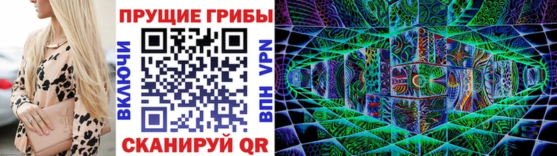 Галлюциногенные грибы Psilocybe  Котельники 